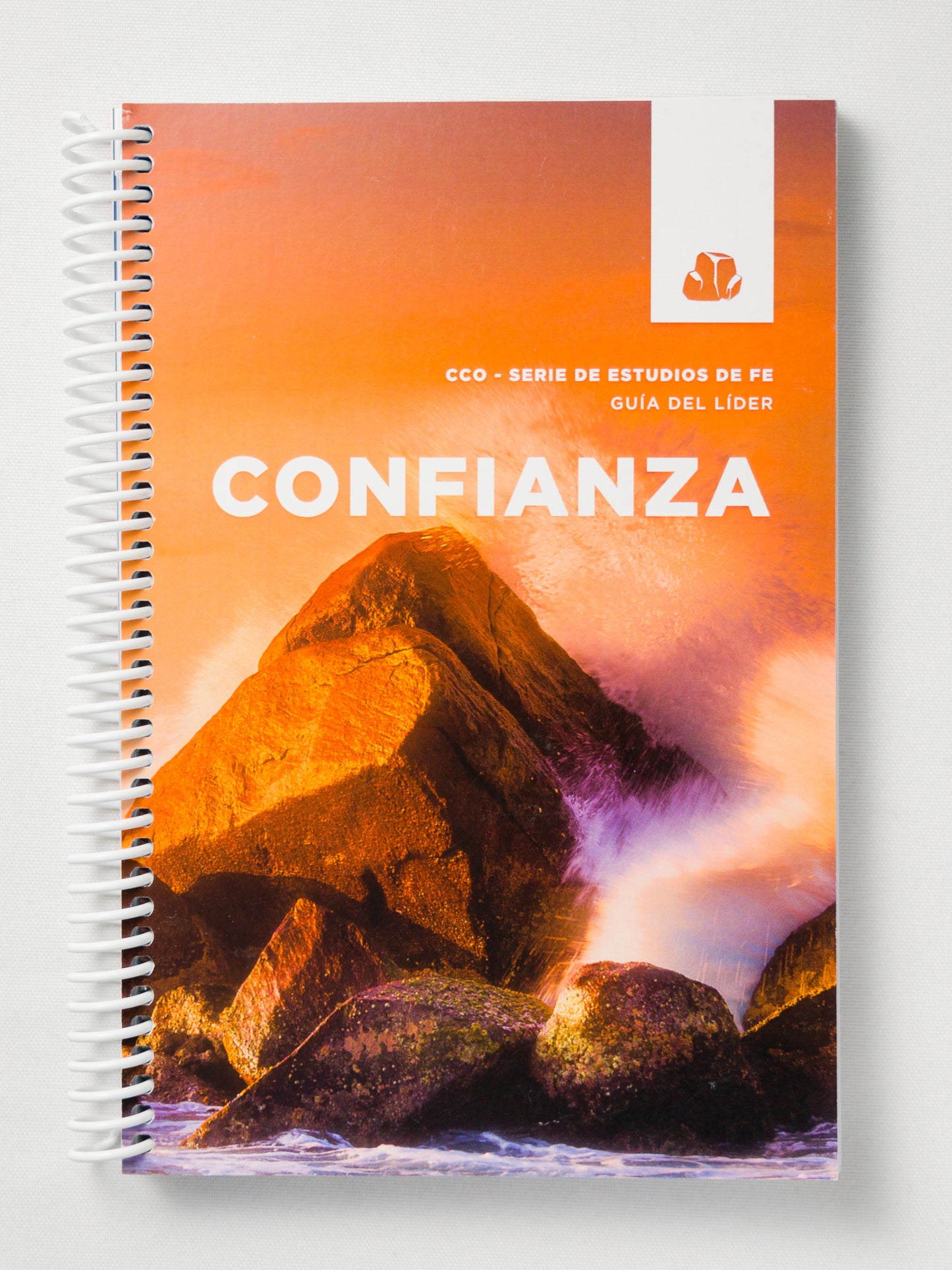 Trust - Leader Guide - Spanish
