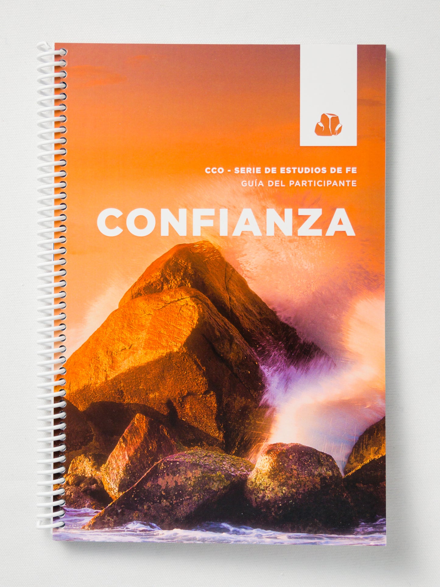Trust - Leader Guide - Spanish