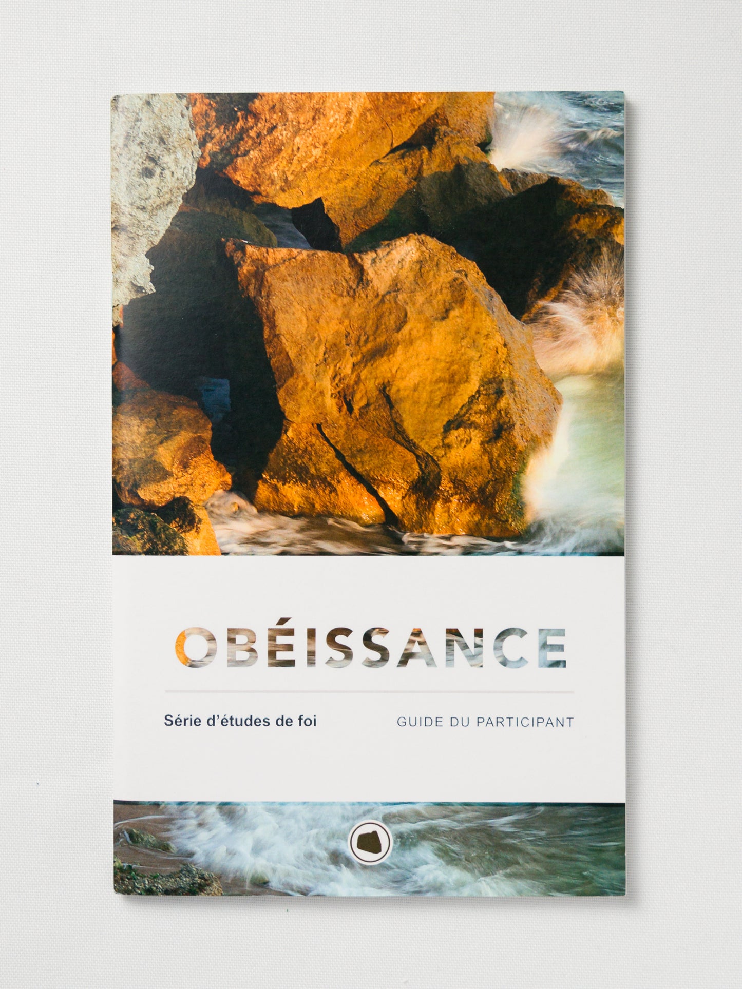 Obéissance (Level Four French Only)