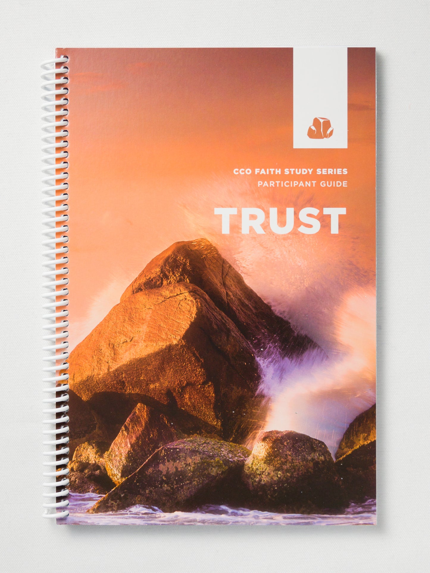 Trust - Leader Guide - Spanish