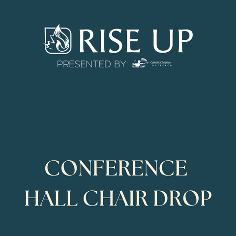 Conference Hall Chair Drop